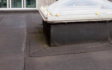 disadvantages of Lower Island flat roofs