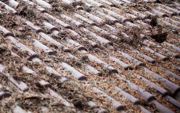 Lower Island roof cleaning companies